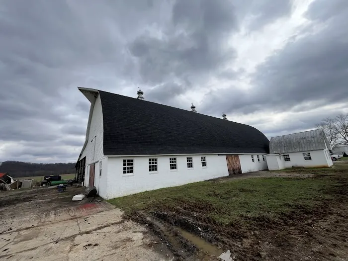 Lion Roofing and Construction Picture 8