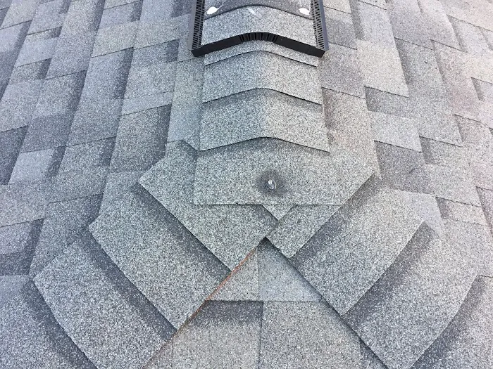 Lion Roofing and Construction Picture 9