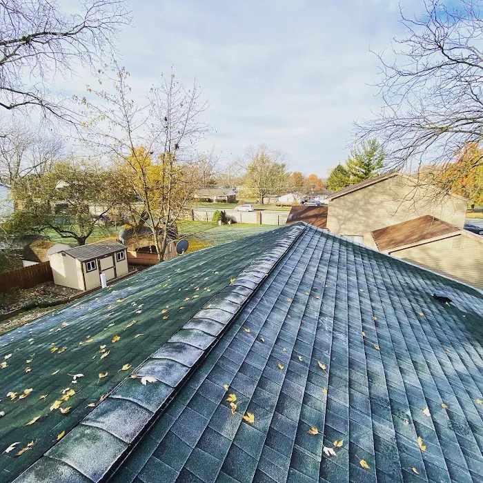 Schottenstein Roofing Picture 5