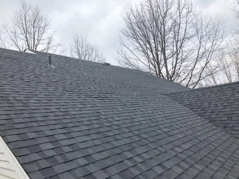 Coates Bros Roofing Picture 6