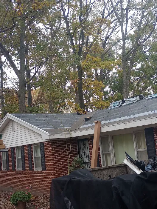 Camp Construction Picture 2