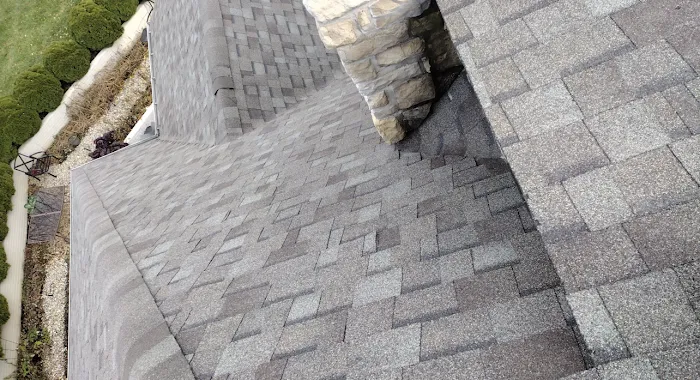 614 Ispanic Roofers Acacio Picture 5