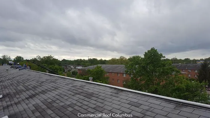 Cap City Restoration Picture 4