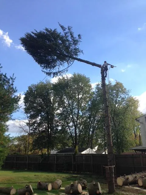 Grants Roofing Company Picture 7