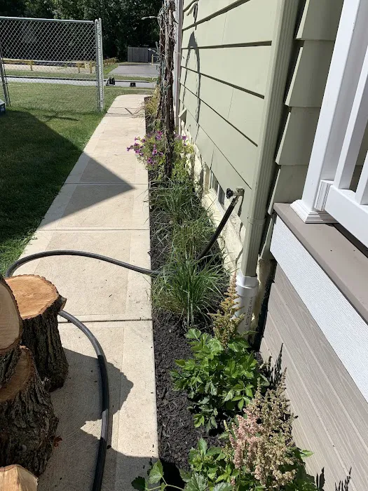 Excel Management Picture 1