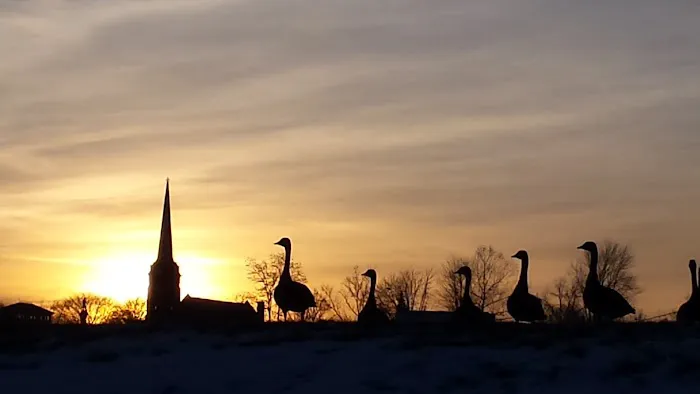 Port Clinton Roofing Co Picture 3