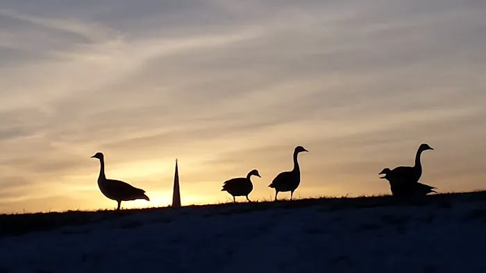 Port Clinton Roofing Co Picture 6