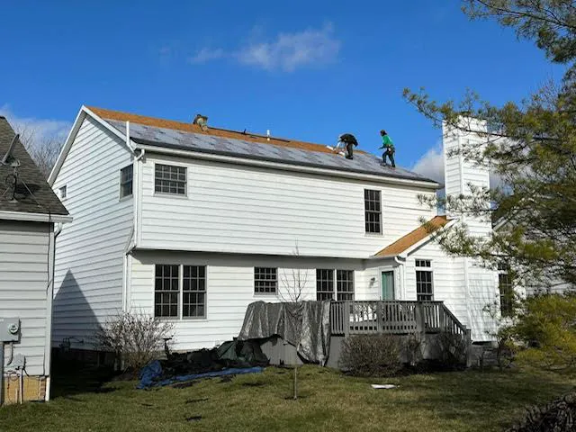 The Roof Detective Picture 3