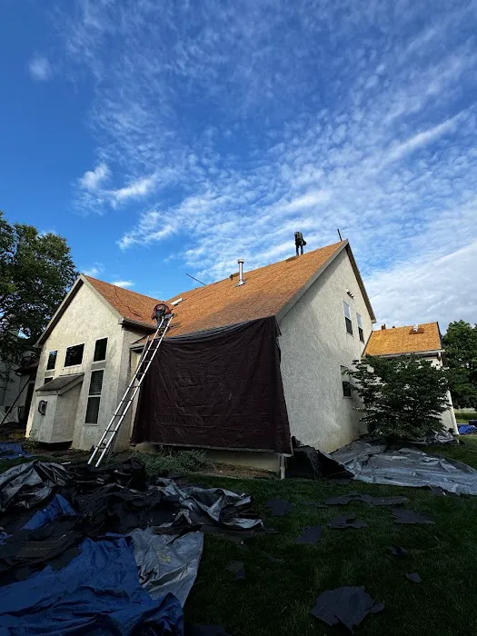 The Roof Detective Picture 7