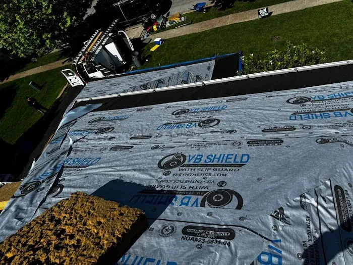 The Roof Detective Picture 5