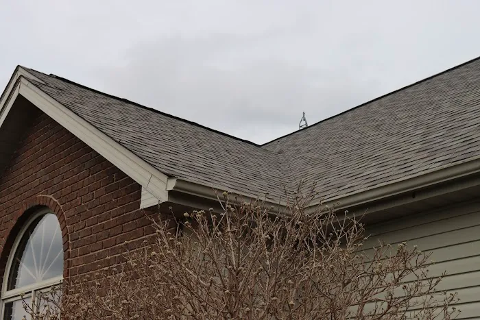 Deitemeyer Brothers Picture 1