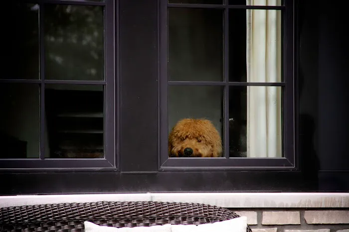 Golden Bear Roofing Picture 6