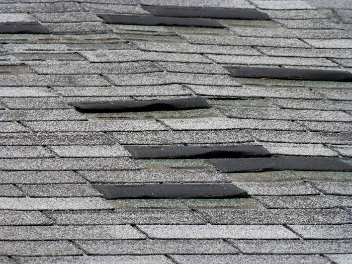 Golden Bear Roofing Picture 7