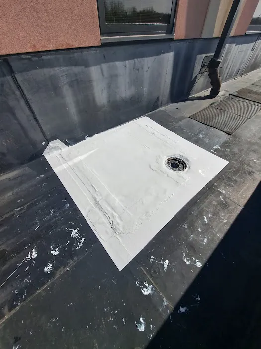 Lee's Top Choice Roofing Picture 8