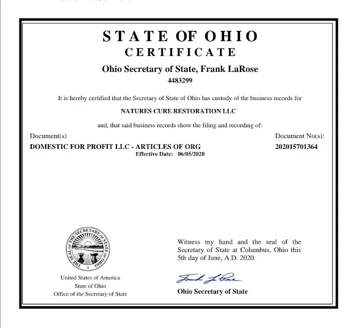 Nature's Cure Restoration LLC Picture 9