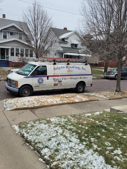 Salgau Roofing Picture 5