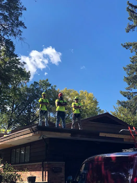 Salgau Roofing Picture 10