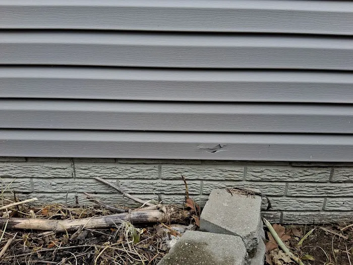 Revive Roofing LLC Picture 9