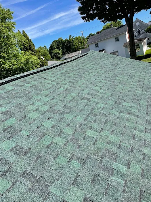 Roofs by Warren Picture 10