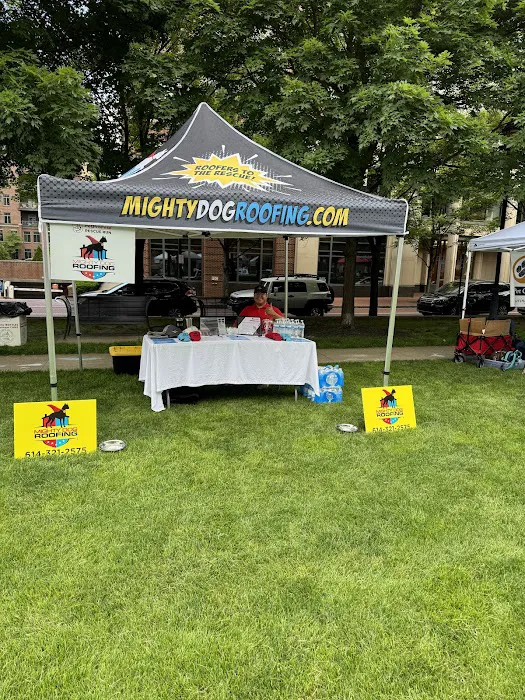 Mighty Dog Roofing of Columbus West Picture 3