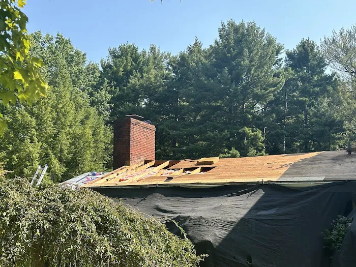 Elevate Restoration LLC Picture 10