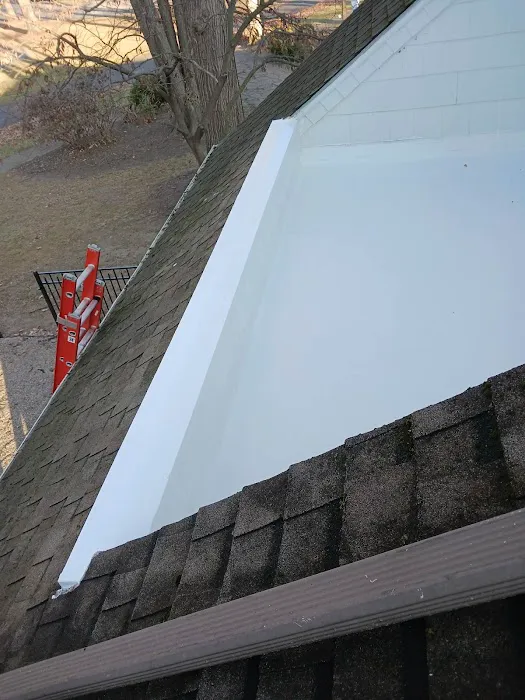 Rooftop Renovations LLC Picture 1