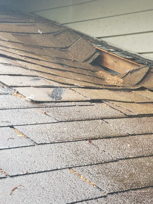 LHJ Remodeling Picture 2