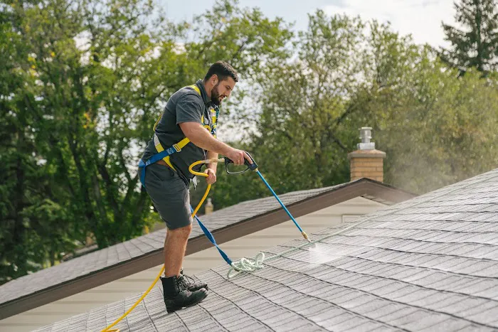 Bright Green Roof of Ohio Picture 3