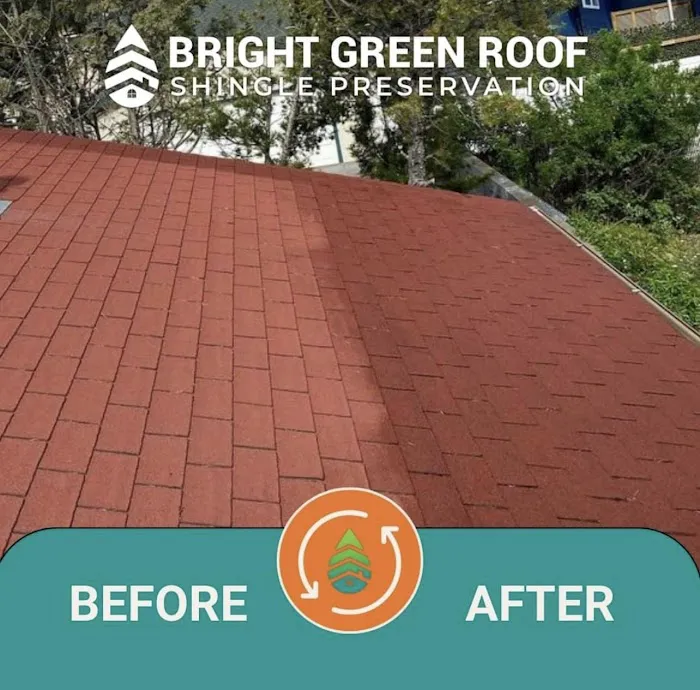 Bright Green Roof of Ohio Picture 2