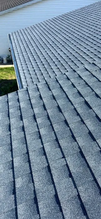 Nest Roofing Picture 1