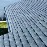 Nest Roofing