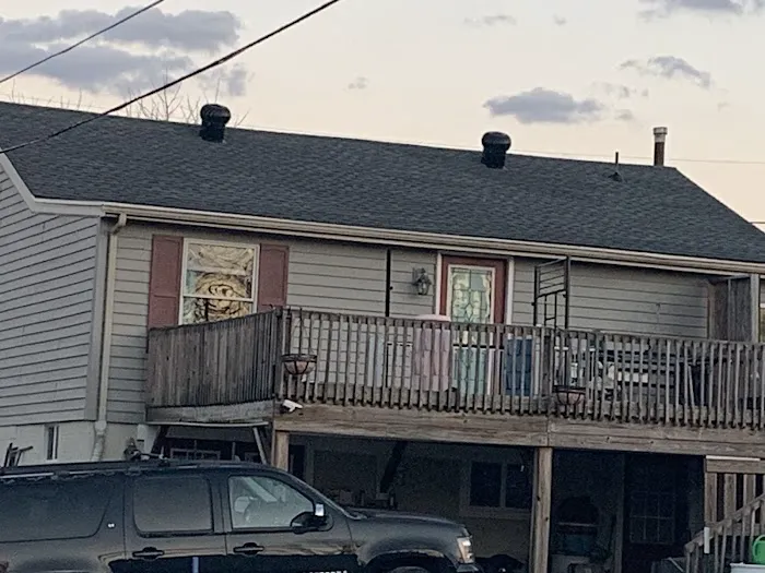 Nest Roofing Picture 3