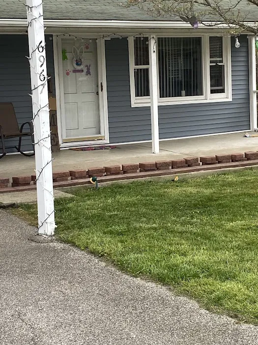 Nest Roofing Picture 5