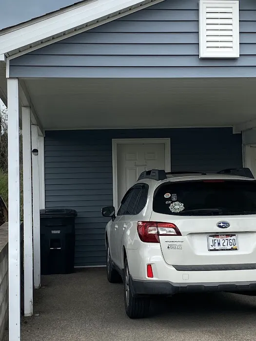 Nest Roofing Picture 8