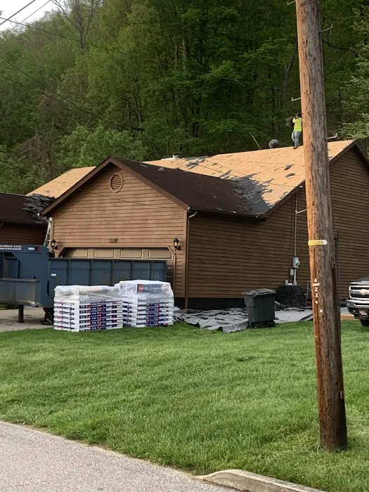 Nest Roofing Picture 9