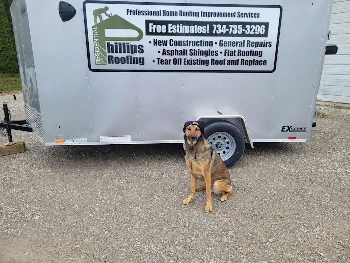 Phillips Residential Roofing Picture 4