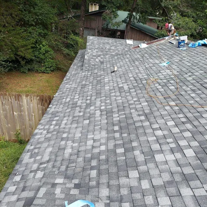 Super Roofers Picture 3