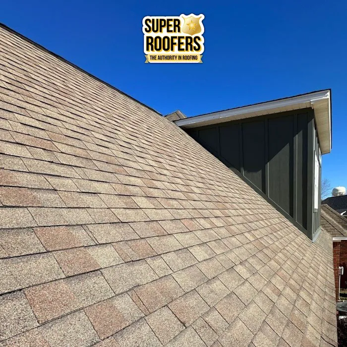 Super Roofers Picture 6