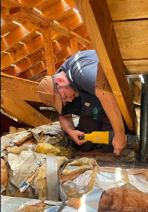 Design Roofing Picture 8