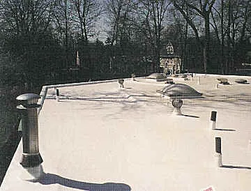 New Roof Inc Picture 4