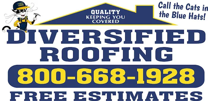 Diversified Roofing - Willis Picture 1