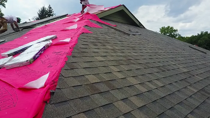 Roofman USA Picture 3
