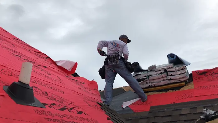 Roofman USA Picture 5
