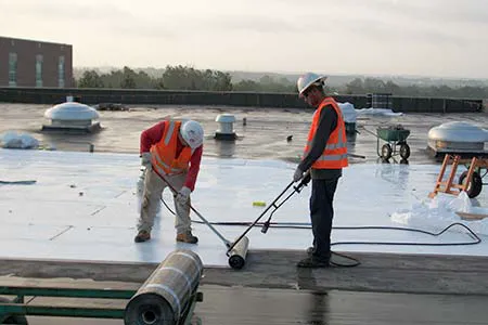 Bo-Dec Inc Picture 1