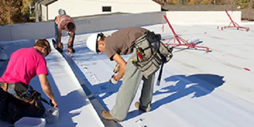 Bo-Dec Inc Picture 3