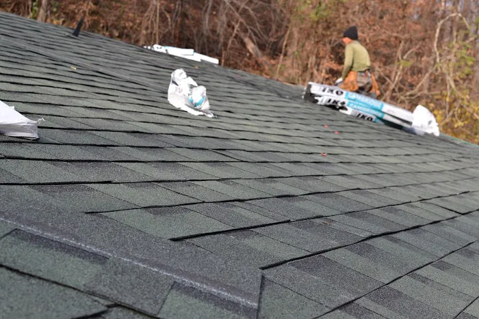 PPG Roofing Picture 4