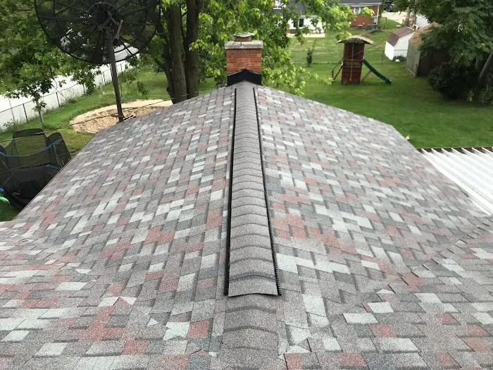 Detroit Roofers of Belleville Picture 5