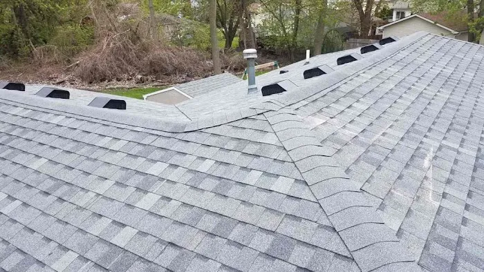 Roof Advance Picture 1