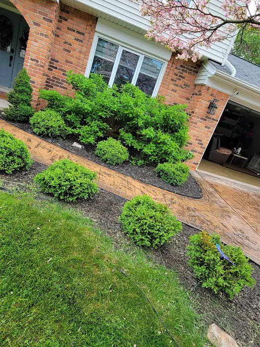 Tato Renovations LLC Picture 6