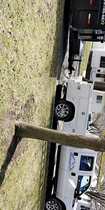 Distinctive Roof Services Picture 10